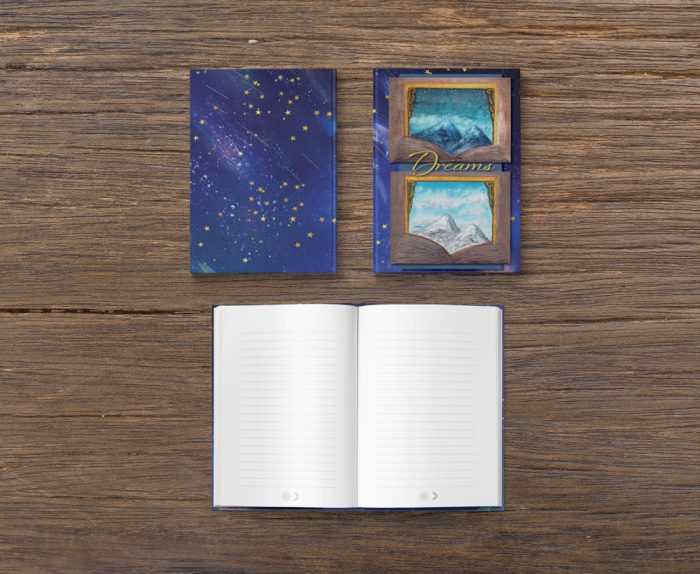 Daydreams & Night Dreams: Willow Lane Notebook #12