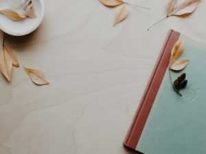 brown and blue hardbound book