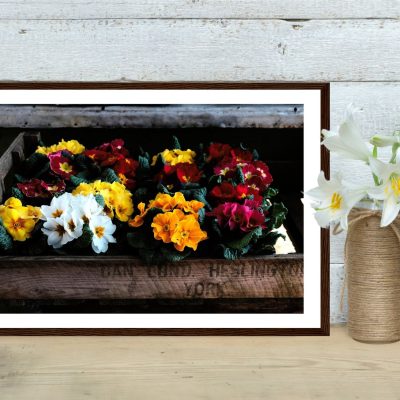 Photography Print: "Rustic Flower Box"