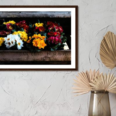 FRAMED Photography Print: "Rustic Flower Box"