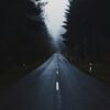 gray concrete road between trees at daytime