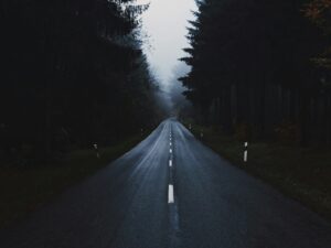 gray concrete road between trees at daytime